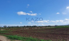 Large field plot for sale in Peristerona village , Nicosia
