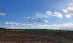 Large field plot for sale in Peristerona village , Nicosia