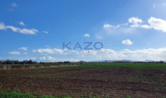 Large field plot for sale in Peristerona village , Nicosia