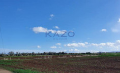 Large field plot for sale in Peristerona village , Nicosia