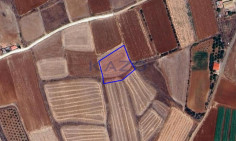 Large field plot for sale in Peristerona village , Nicosia