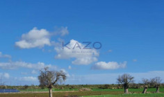 Large field for sale in peaceful Peristerona area , Nicosia