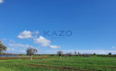 Large field for sale in peaceful Peristerona area , Nicosia