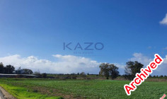Large 4014 m2 field for sale in Peristerona , Nicosia