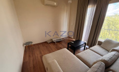 Optionally furnished detached house for rent in Agios Athanasios 