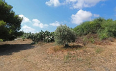Land 1888 m2 for sale in Protaras, Famagusta