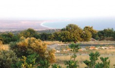 3 bedroom villa with swimming pool for sale in Souni-Zanakia