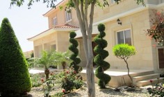 Villa 6 Bedrooms Coral Bay, Paphos, Cyprus