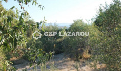 Spacious residential for sale in Argaka, Paphos