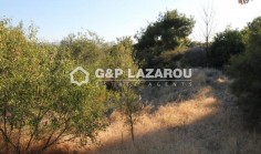 Spacious residential for sale in Argaka, Paphos