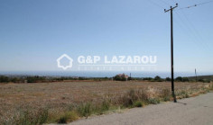 Residential 11063 m2 for sale in Tala, Paphos