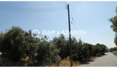 Beautiful residential for sale in Emba, Paphos