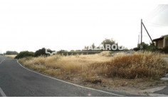 Residential 9626 m2 for sale in Tala, Paphos