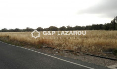 Residential 9626 m2 for sale in Tala, Paphos