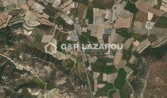 Land 8250 m2 for sale in Pissouri, Limassol