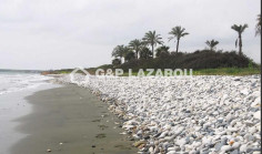 Touristic building plot for sale in Mazotos, Larnaca , Larnaca