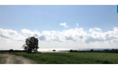 Land for sale in Maroni, Larnaca