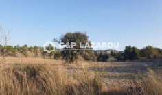 Beautiful residential for sale in Pentakomo, Limassol