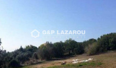 Beautiful residential for sale in Polemi, Paphos