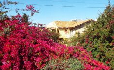 Beautiful 2 bedroom furnished apartment for sale in Kato Paphos