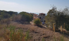 Spacious land to buy in Tala, Paphos