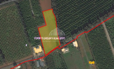 Luxury agricultural for sale in Trachoni