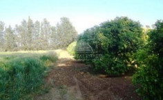 Residential 35230 m2 for sale in Trachoni, Limassol