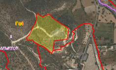 Lovely agricultural to buy in Monagroulli