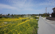 Spacious residential 11085 m2 for sale in Kolossi, Limassol