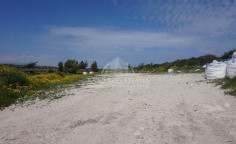 Spacious residential 11085 m2 for sale in Kolossi, Limassol
