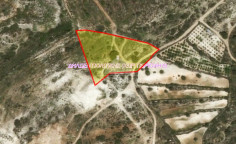 Lovely agricultural for sale in Agios Ambrosios