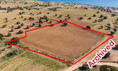 Field 7.024m2 Agios Theodoros, Larnaca , Larnaca