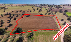 Field 7.024m2 Agios Theodoros, Larnaca , Larnaca