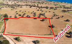 Field 7.024m2 Agios Theodoros, Larnaca , Larnaca