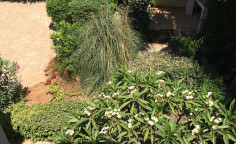 4 bedroom detached house walking distance to the beach in Protaras 