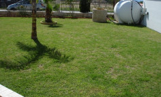 A six bedroom detached house for sale in Ayia Napa with title deeds 