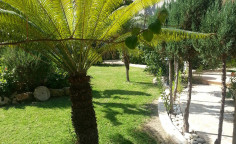 A beautiful detached villa with mature garden 2nd line from the beach in Meneou for sale! 