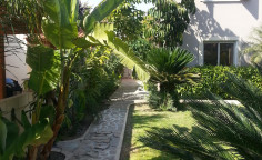 A beautiful detached villa with mature garden 2nd line from the beach in Meneou for sale! 