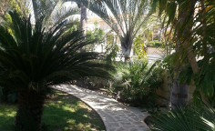 A beautiful detached villa with mature garden 2nd line from the beach in Meneou for sale! 