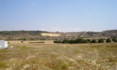 Agricultural land at Pyla , Larnaca