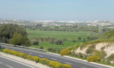 4.35 donums of land in livadhia , Larnaca