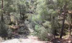 Luxury residential for sale in Moniatis, Limassol
