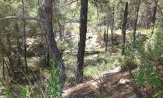 Spacious residential for sale in Moniatis, Limassol