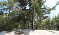 Spacious residential for sale in Moniatis, Limassol