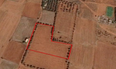 (agricultural) in Paliometocho, Nicosia for sale , Nicosia