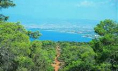 Luxury 3 bedroom house with swimming pool for sale in Paphos