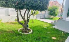 3 bedroom furnished house with swimming pool for sale in Paphos