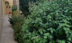 Lovely 3 bedroom house for sale in Limassol