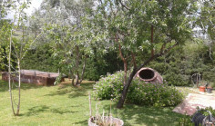 Lovely 3 bedroom house with swimming pool for sale in Limassol