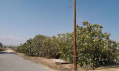 (residential) in Mazotos, Larnaca for sale , Larnaca